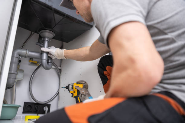 Best Plumbing System Maintenance  in Cary, IL